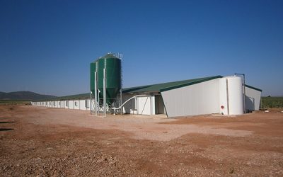 Entregamos dos nuevas naves de pollos en La Solana