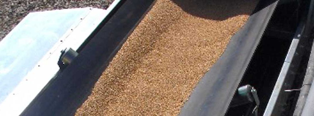 Transportador-de-banda-industrial_SLIDER