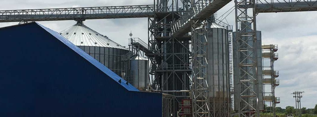 ACONDICIONAMIENTOGRANO_SLIDER