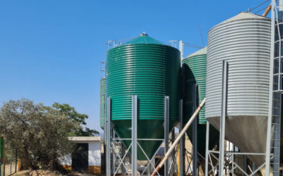 Instalación de un silo adicional en granja de porcino de Huelva