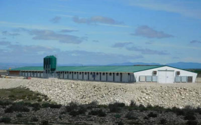 Poultry farm equipped with the latest technology is inaugurated in Zaragoza, Spain