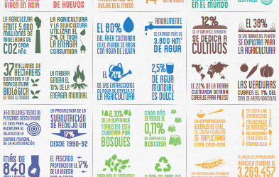 La alimentación y la agricultura en cifras
