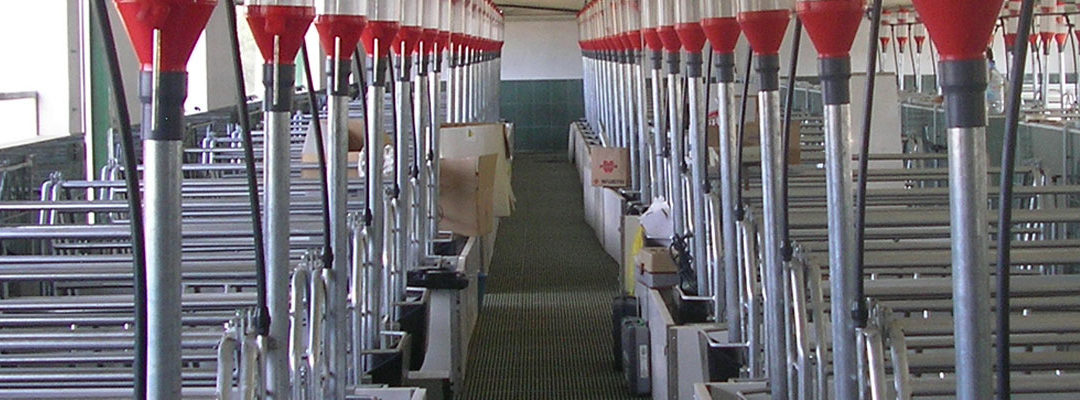 Otras-naves-ganaderas_SLIDER