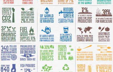 Our food and agriculture in numbers