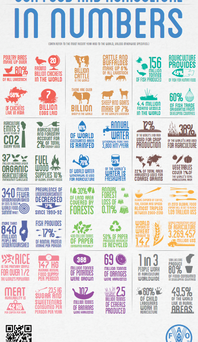 Our food and agriculture in numbers