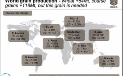 Grain Market Outlook 2013/2014