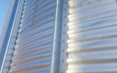 Difference and benefits of a galvanized steel silo and a carbon steel silo with food paint