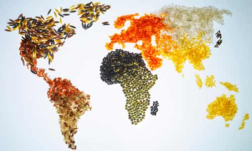 Crescente demanda a nível mundial de produtos alimentícios, entre eles os cereais