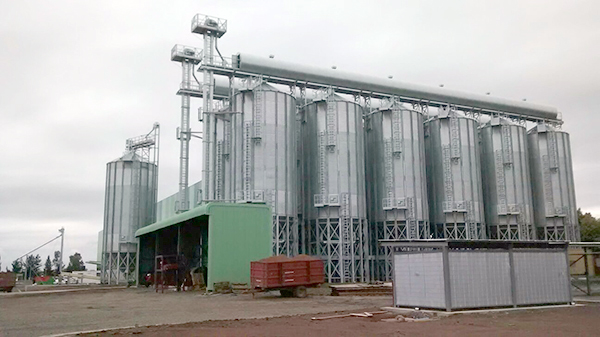 Storage facility for hazelnuts