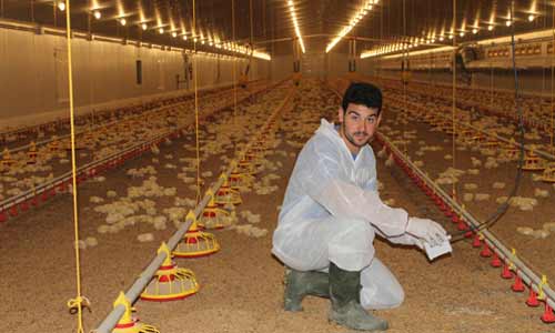 Poultry Farming Success Story: Young poultry farmer continues the family saga