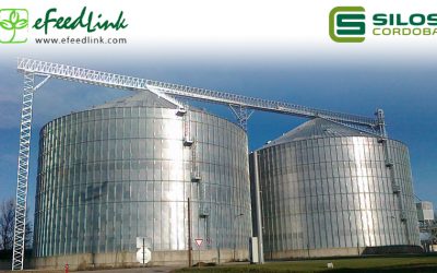 Интервью с компанией Силос Кордоба, одним из главных производителей в области хранения зерна в Испании