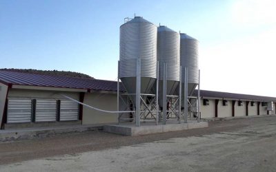 Bâtiment hautement énergétique pour poulets à Abejar, Espagne