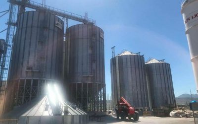 Expansion of a quinoa storage plant in Spain