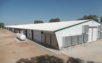 Tres décadas de actividades avícolas en El Viso (Córdoba) en las que Gandaria ha participado con varias instalaciones