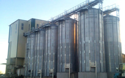 Flat bottom silos for raw material in a feed mill