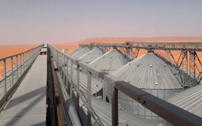 Planta de silos para almacenaje de trigo en Argelia