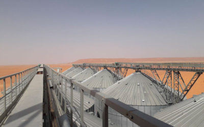Usine de stockage de blé dans Le Sahara